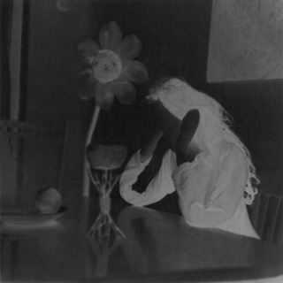 Blume 2